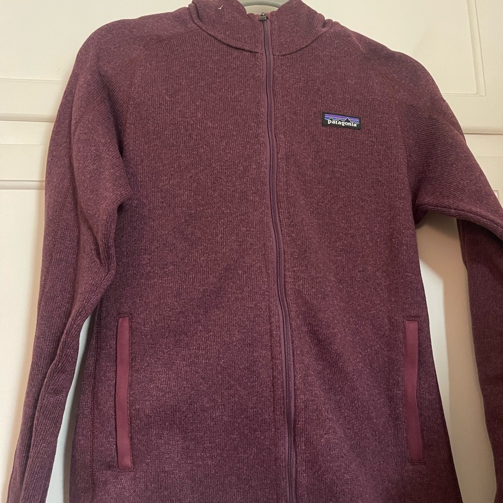 Patagonia Zip-Up better sweater hoodie